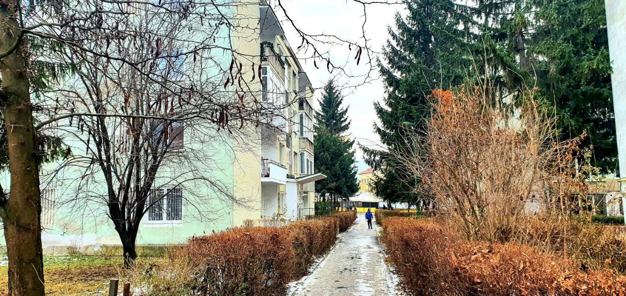 5 Min To Everything-Stylish-Modern-Old City Center Brasov Exterior photo